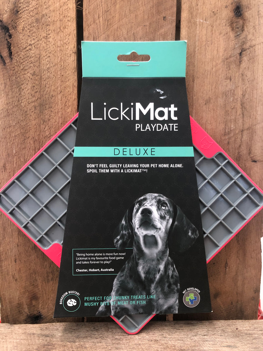 LickiMat Tuff™ Playdate™ Lick Mat – Rover Store