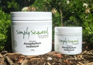 Simply Seaweed Dog Supplement Sunshine Coast