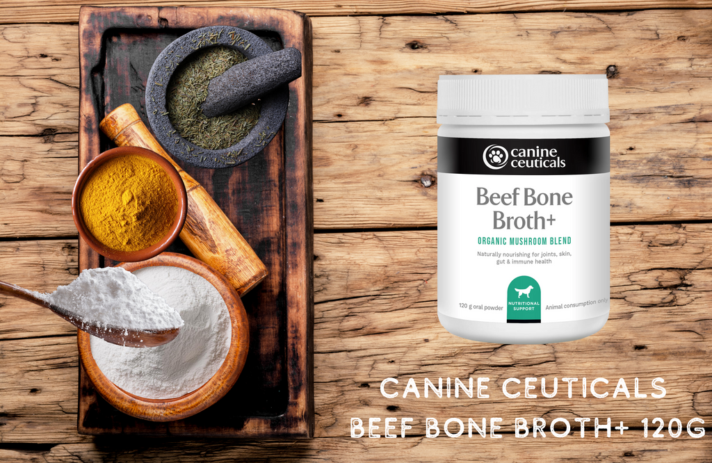 Canine Ceuticals Beef Bone Broth + Medicinal Mushrooms 120g