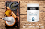 Canine Ceuticals Collagen Forte 280g