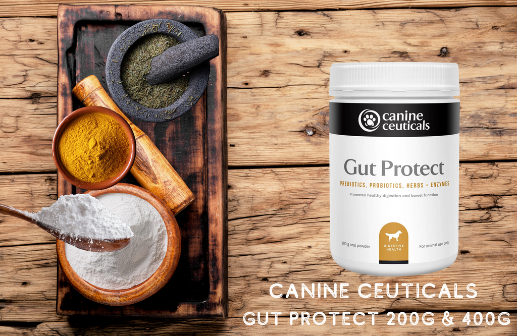 Canine Ceuticals Gut Protect