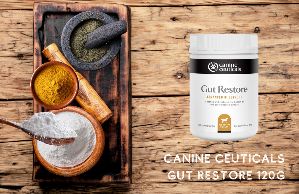 Canine Ceuticals Gut Restore 100g