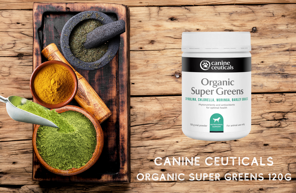 Canine Ceuticals Organic Super Greens 120g