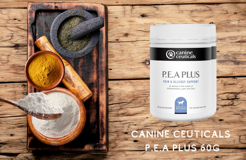 Canine Ceuticals P.E.A Plus 60g