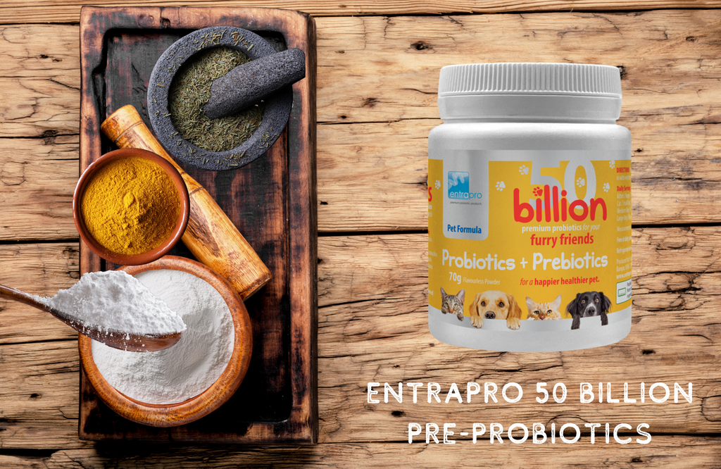 Entrapro live probiotic and prebiotic 50 billion 70g